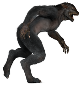 werewolf-g47591caab_640